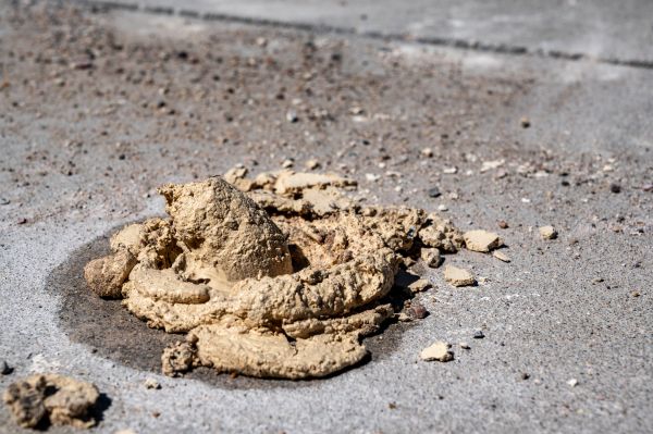 Cost of Driveway Slab Leveling in Dayton